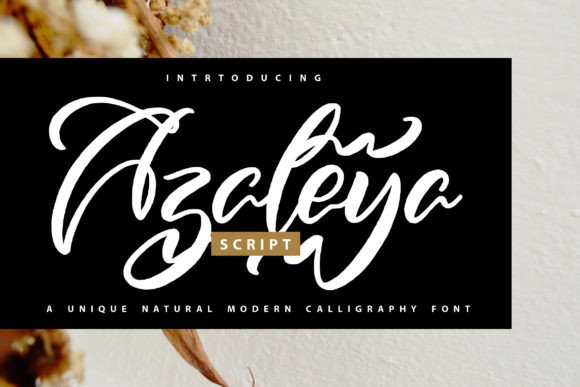 Azaleya Script Handwritten Font for Warm, Authentic Branding