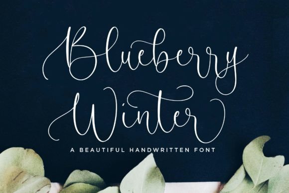 Blueberry Winter Font for Elegant Branding