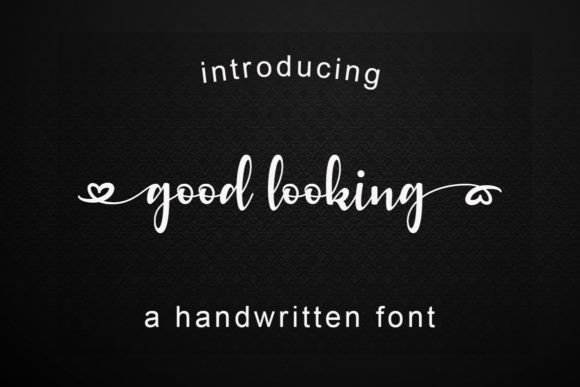 Good Looking Script Font for Branding and Logos