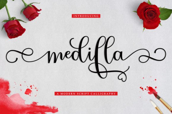 Medilla: A Script Handwritten Font That Elevates Campaign Visuals