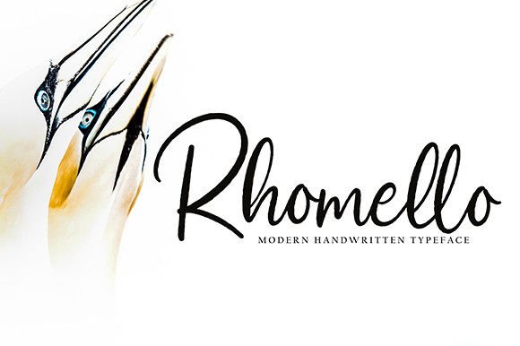 Rhomello: The Script Font That Elevates Your Brand’s Visual Story