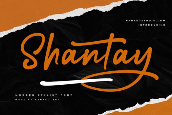 Shantay: A Bold Script Font That Elevates Real Small Business Branding